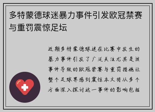 多特蒙德球迷暴力事件引发欧冠禁赛与重罚震惊足坛