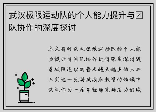 武汉极限运动队的个人能力提升与团队协作的深度探讨