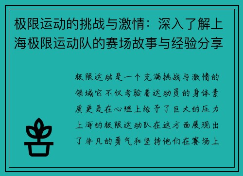 极限运动的挑战与激情：深入了解上海极限运动队的赛场故事与经验分享
